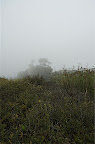 _DSC0065.NEF (Raw)
