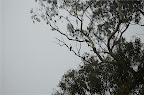 _DSC0084.NEF (Raw)