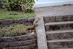 _DSC0049.JPG
