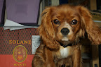 DSC_0039.NEF