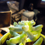DSCN0046.JPG