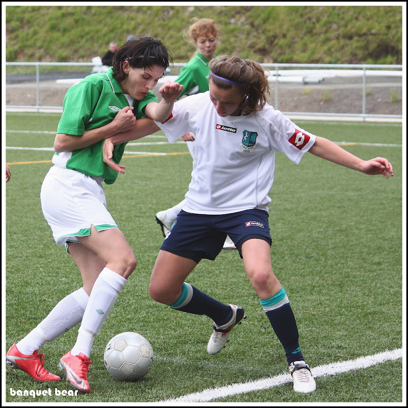 IMAGE: http://lh4.ggpht.com/_a_v5U7guC1c/TF6-Ox0CPzI/AAAAAAAAcdg/ke7UFkwrsa4/s800/Collages8.jpg