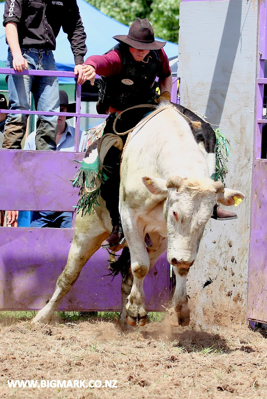 IMAGE: http://lh4.ggpht.com/_a_v5U7guC1c/TO9h5DH47TI/AAAAAAAAdl4/2dExDwl-92k/s800/BULLRIDE_0386.JPG