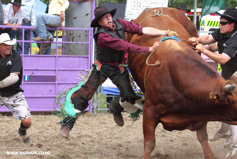 IMAGE: http://lh4.ggpht.com/_a_v5U7guC1c/TO9iG0ZdvNI/AAAAAAAAdm8/5h_eNliICzA/s800/BULLRIDE_0798.JPG