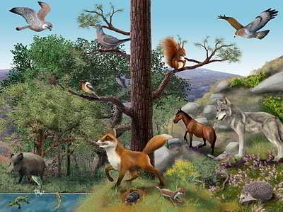 animales productores y consumidores
