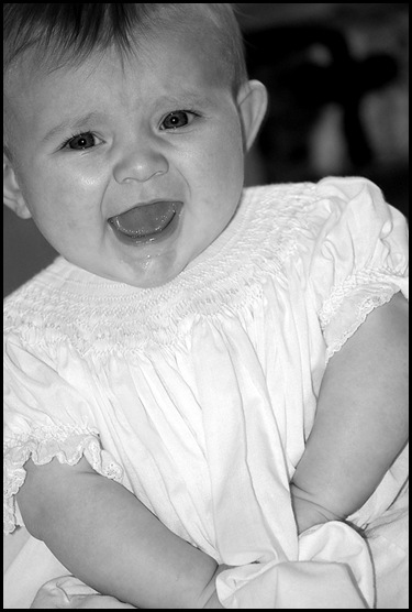 DSC_8483