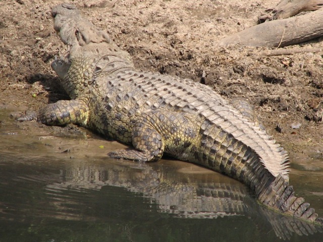 [IMG_35061280x7682.jpg]