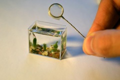 smallest-aquarium-002