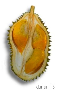[durian3[5].jpg]