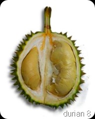 durian11