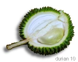 [durian15[7].jpg]
