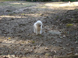 DSC05032.jpg