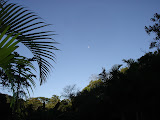 DSC05039.jpg