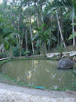 DSC05040.jpg DSC05040.jpg