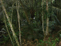 DSC05030.jpg