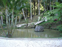 DSC05038.jpg