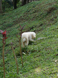 DSC05082.jpg