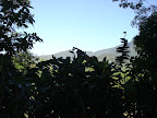DSC05078.jpg