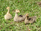 DSC05060.jpg