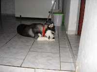 DSC05453.JPG