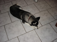 DSC05440.JPG