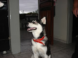 DSC05448.JPG