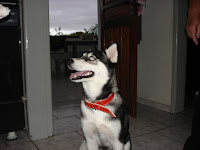 DSC05448.JPG