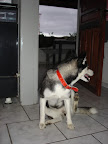 DSC05450.JPG