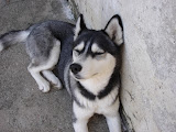 dsc06255.jpg
