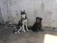 dsc06249.jpg