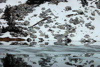DSC_0349.JPG