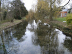 DSCF2710.JPG River Test at Freefolk