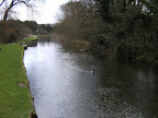 DSCF0265.JPG Mill stream for Town Mill, Whitchurch