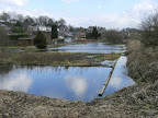 DSCF0267(1).JPG Old watercress beds, Whitchurch