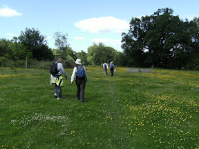 1006160024.JPG Meadow near Hoath Corner