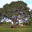 turmadopedaldefelixlandia-087.JPG
