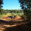 turmadopedaldefelixlandia-009.jpg