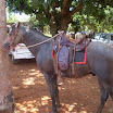EncontroCavaleiros_069.jpg