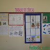 MostraCulturalIMI-087.jpg