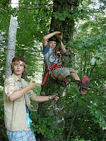 passvac2010 