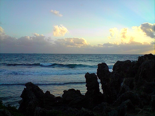 [P090709_17.18[11].jpg]