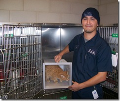 More about the feral cat dens donated to DAS this week..