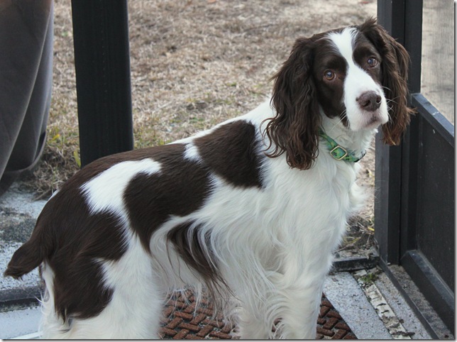 henry outside2