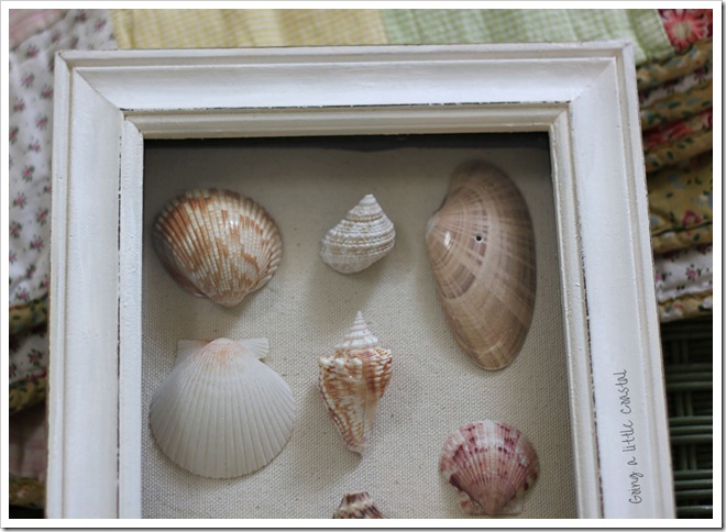 shells4 shells4