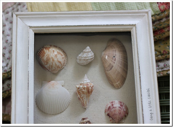 shells4