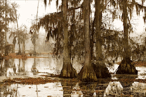 sepia_swamp.gif sepia_swamp.gif