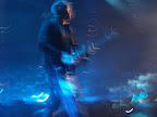  coldplay