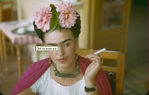 [frida kahlo 6[10].jpg]