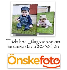 bilder_118305970