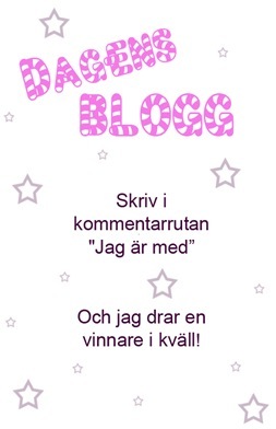 [dagens blogg_thumb[2][4].jpg]